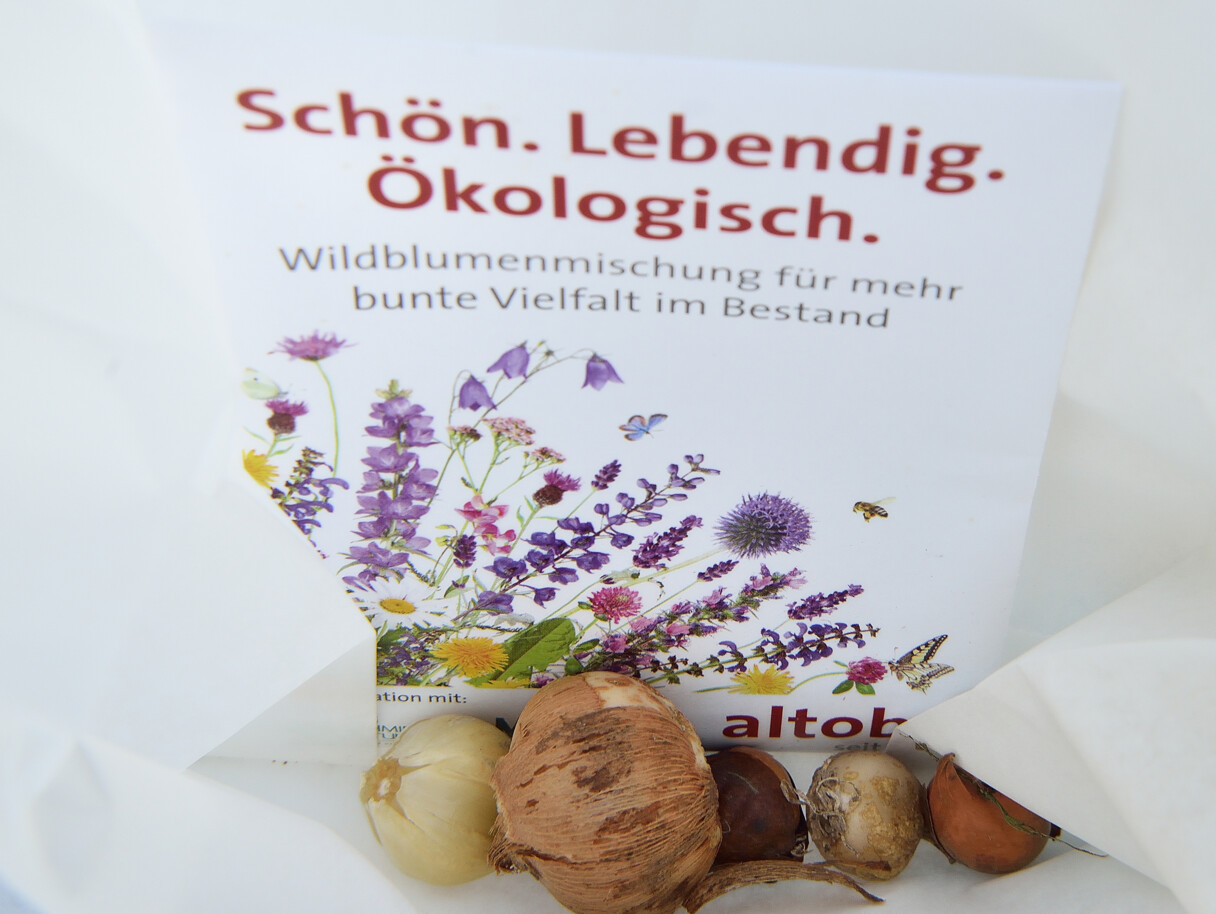 Foto: Kristina Wedekind