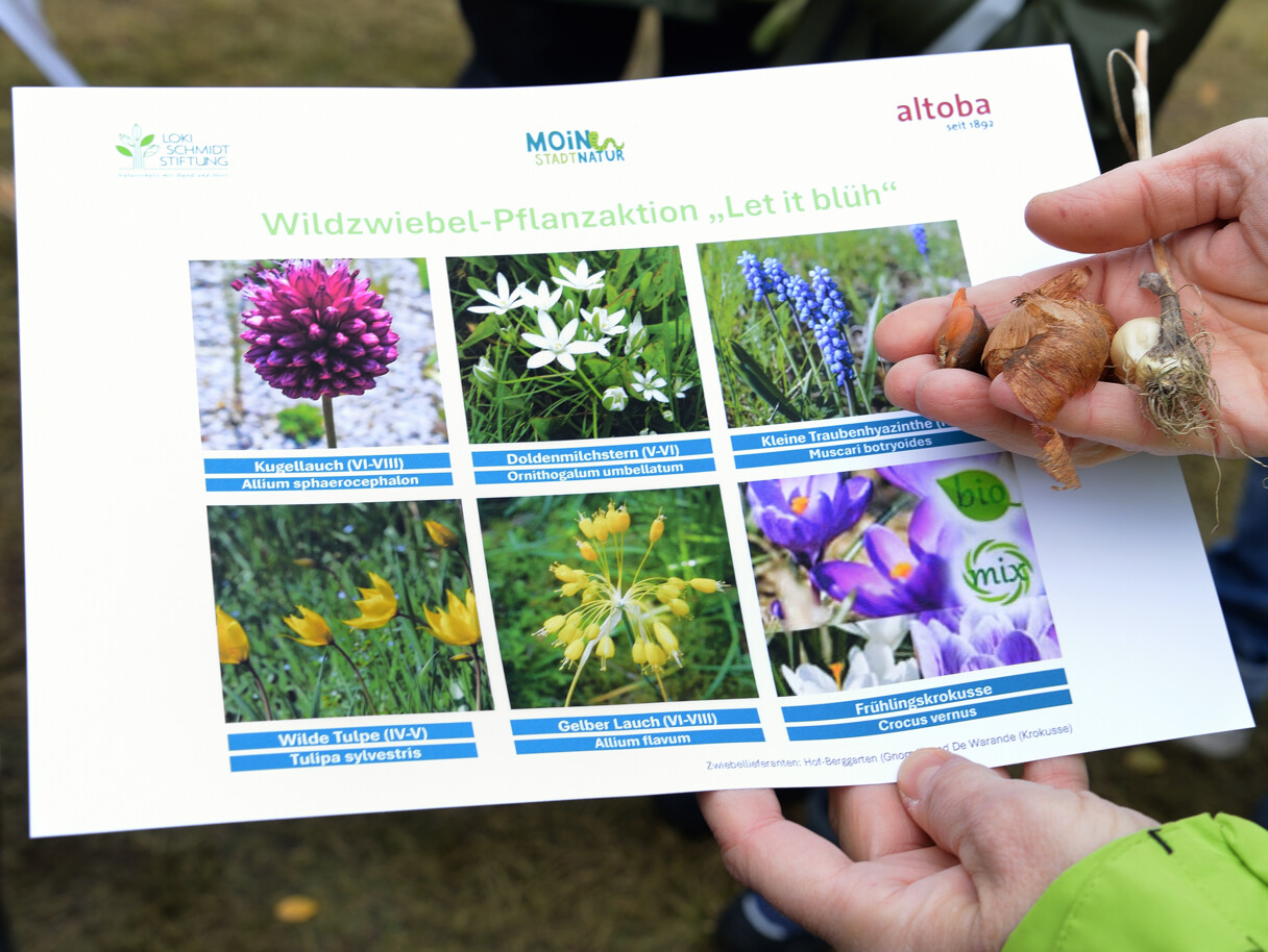 Foto: Kristina Wedekind