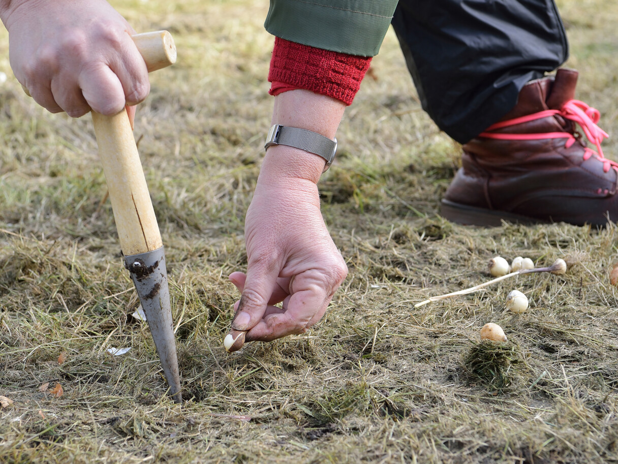 Foto: Kristina Wedekind